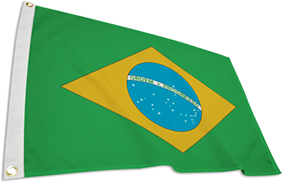 Brazilian National Flag Waving