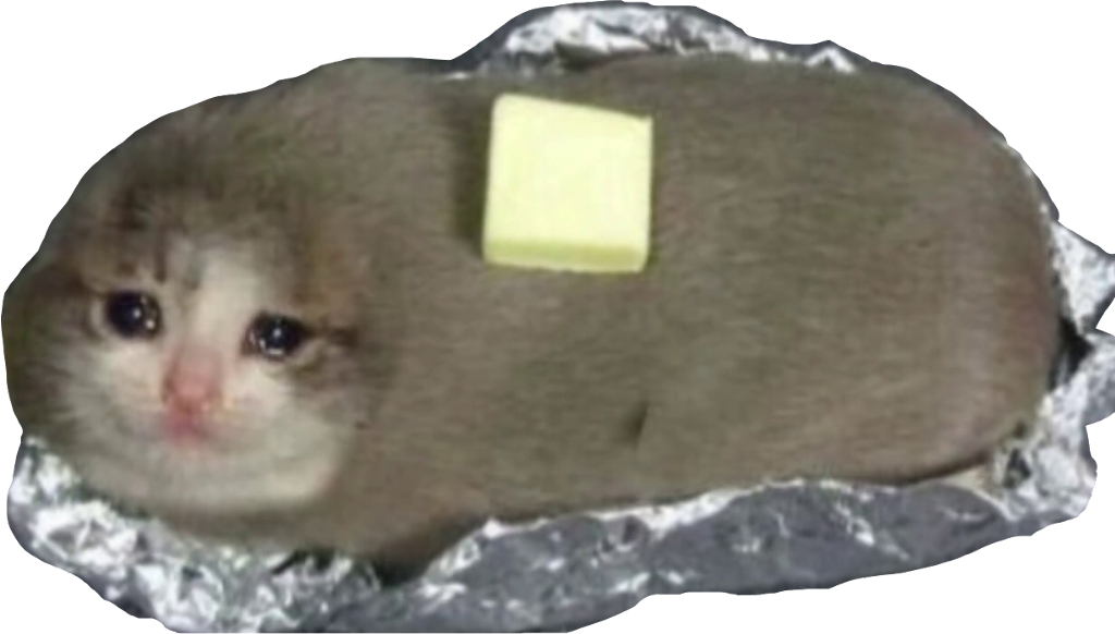 Bread Cat - Cursed Image Burrito Cat, HD Png Download PNG with transparent background