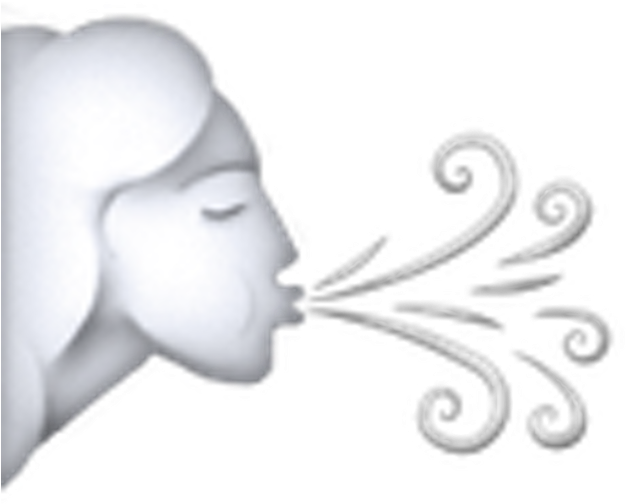Wind Icon Source - Wind Face Emoji Png, Transparent Png PNG with transparent background