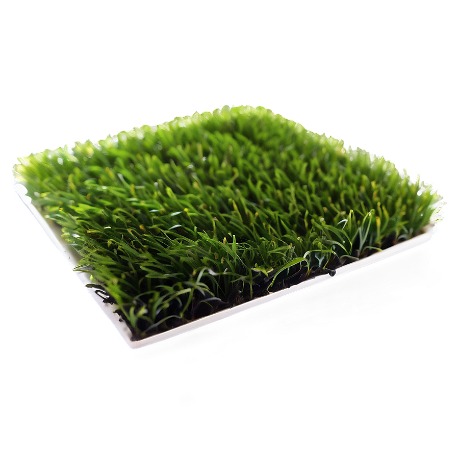 Bright Green Astroturf Png 04292024