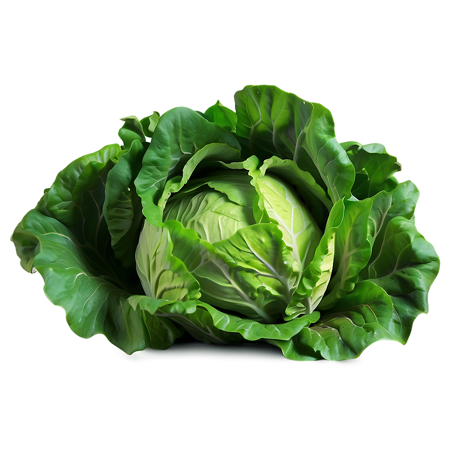 Bright Green Lettuce Png 05242024