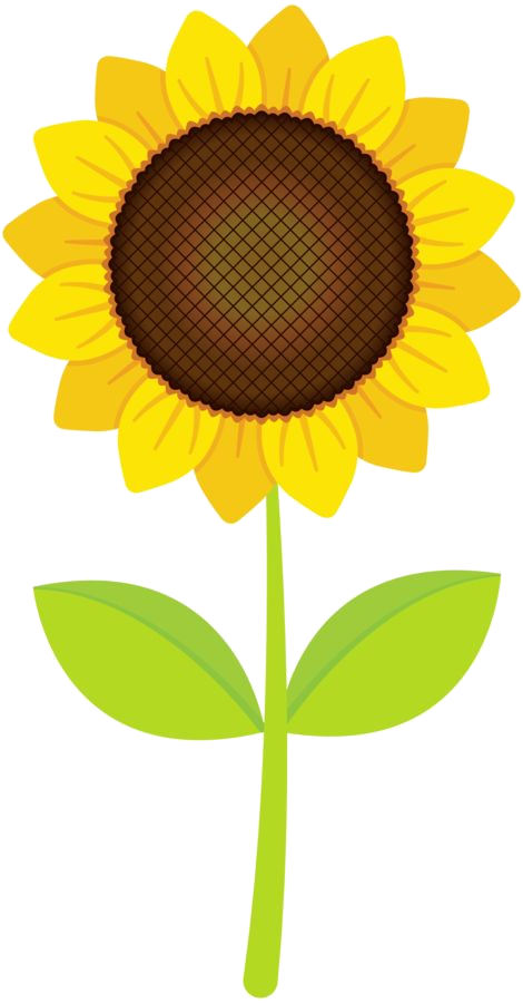 Bright Sunflower Clipart