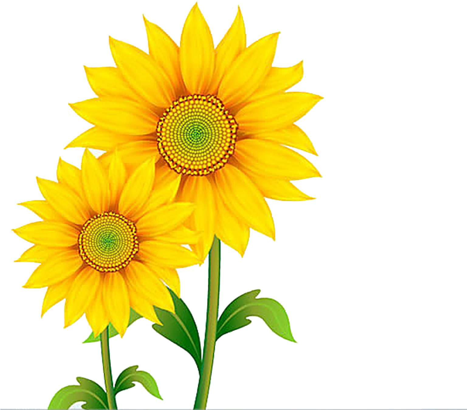 Bright Sunflower Clipart