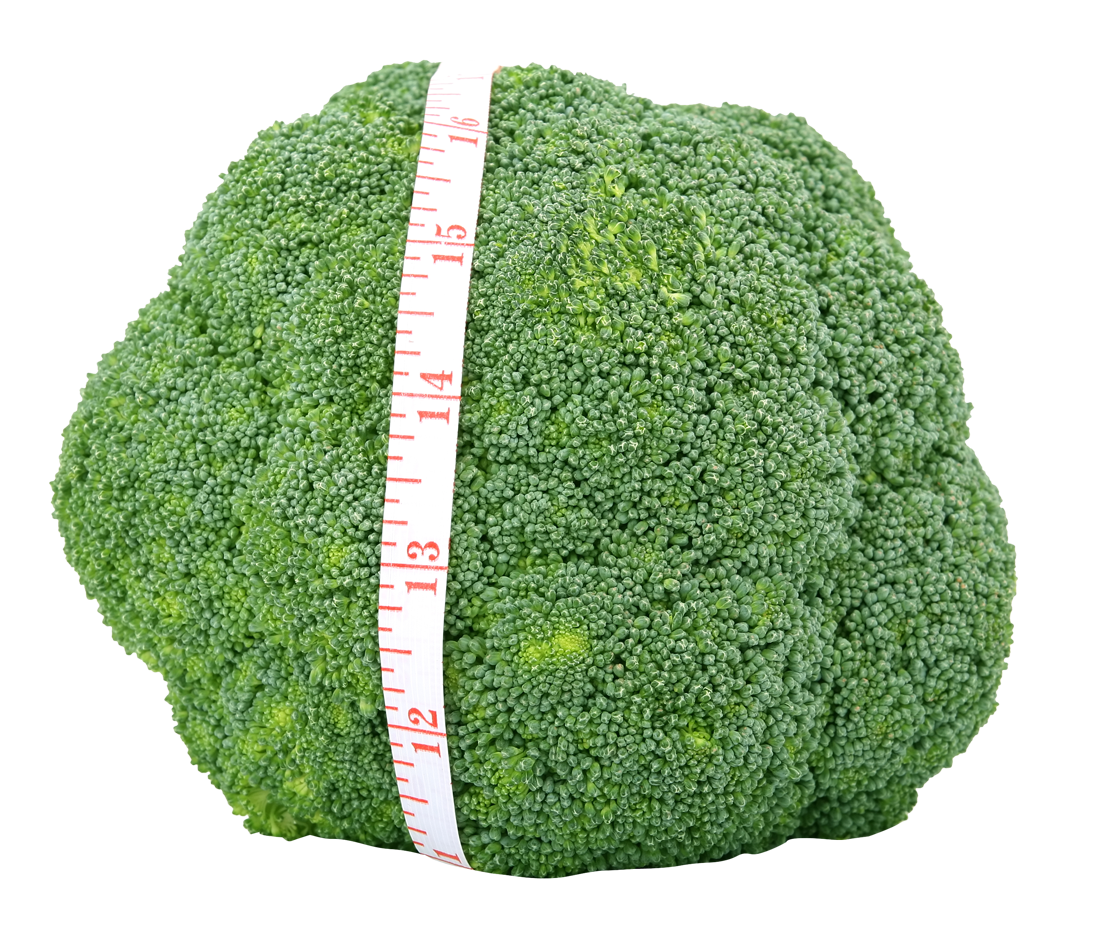 Broccoli Measuring Tape Freshness