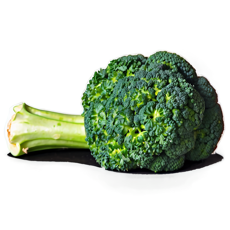 Broccoli Sketch Png Yfs