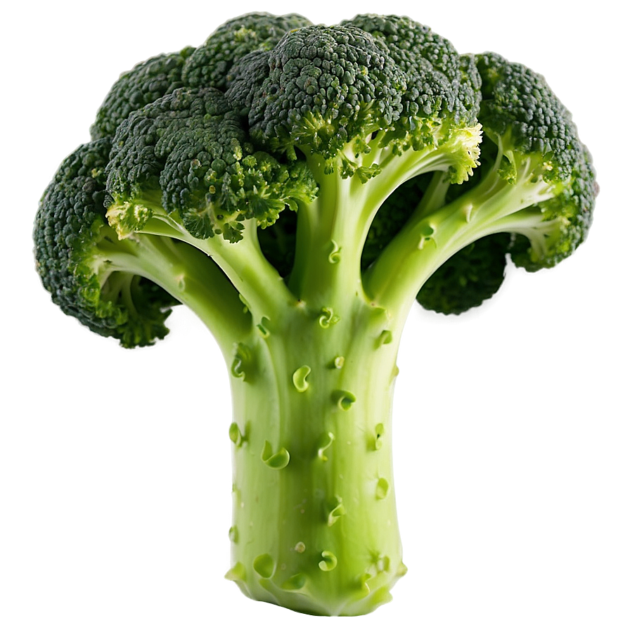 Broccoli Vegetable Png Uwc