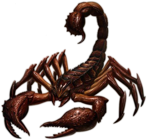 Bronze Scorpion Artwork