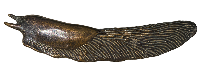 Bronze Snail Sculpture PNG image with a transparent background, free high-resolution download