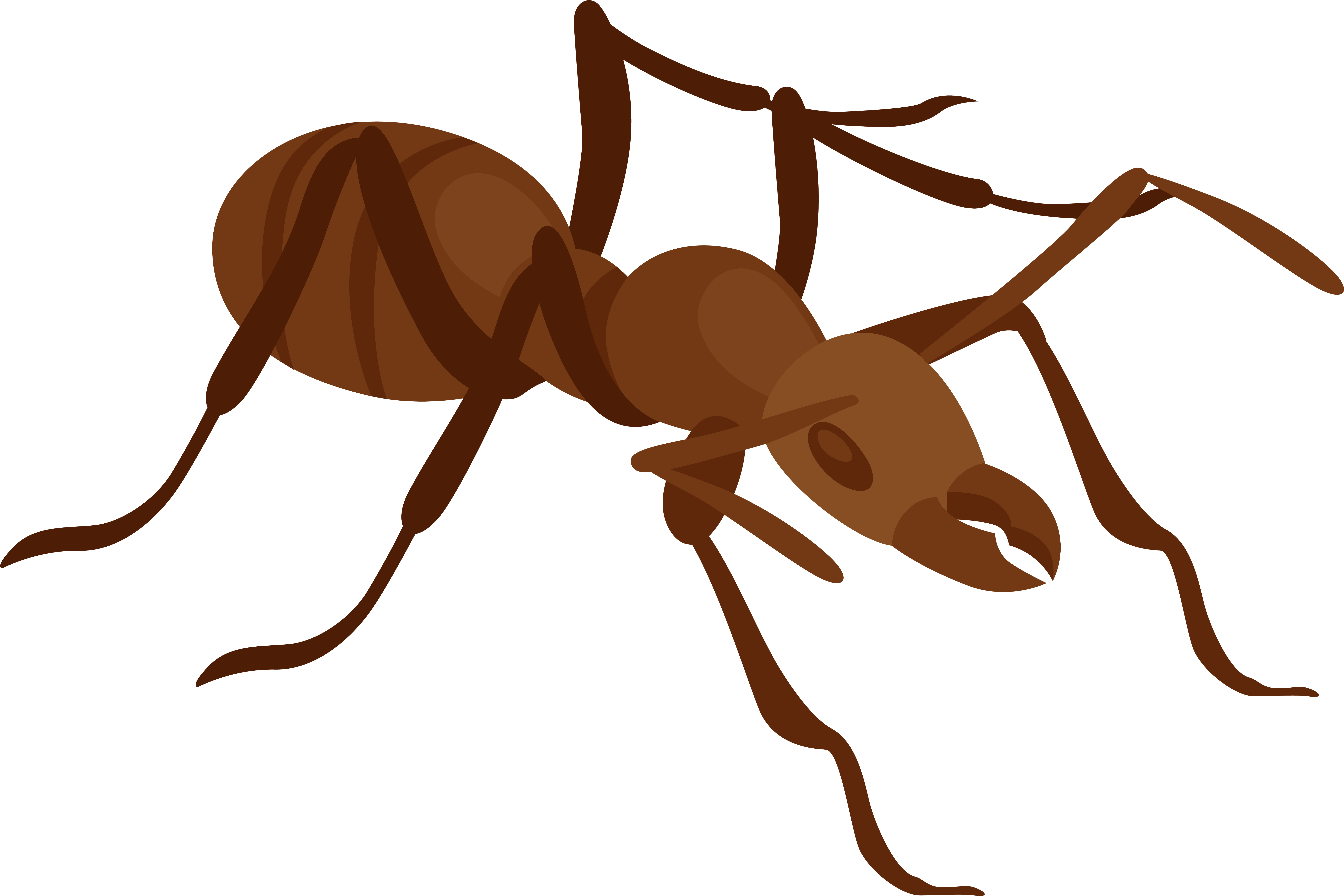 Ant Png Clip Art - Clip Art Ant Png, Transparent Png PNG with transparent background