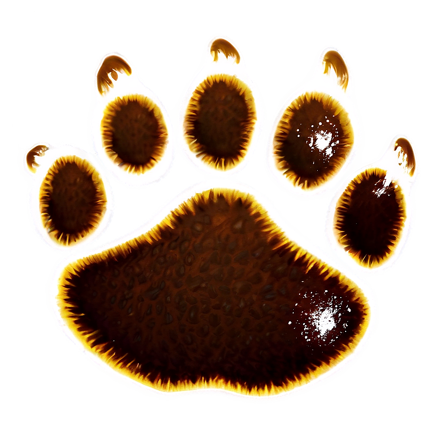 Brown Bear Paw Png 06262024