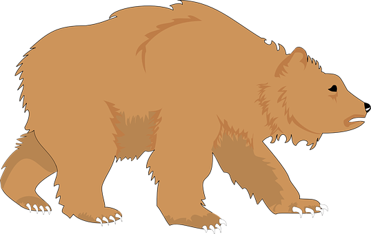 Brown Bear Silhouette PNG with transparent background