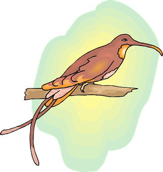 Brown Bird Illustration PNG with transparent background