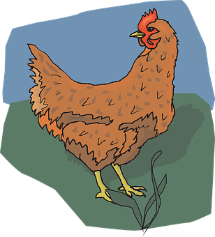 Brown Chicken Illustration PNG with transparent background
