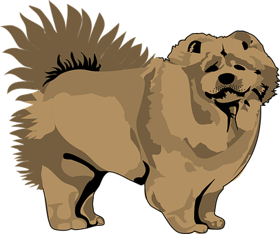 Brown Chow Chow Illustration PNG with transparent background