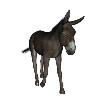 Brown Donkey Black Background PNG with transparent background
