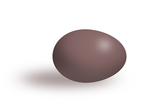 Brown Egg Isolated Background