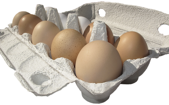 Brown Eggsin Carton PNG with transparent background