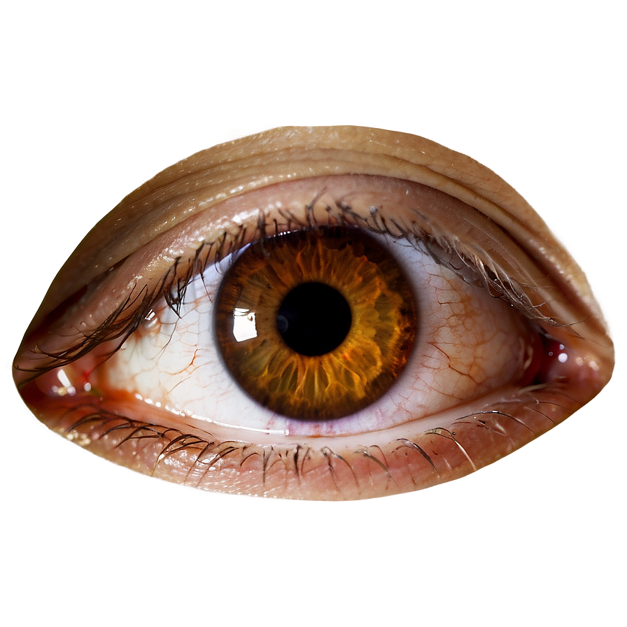 Brown Eye Transparent Png Mxh