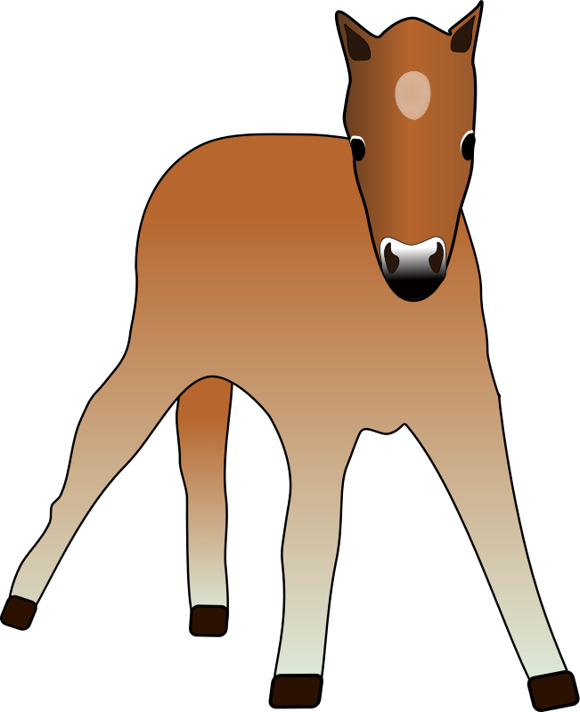 Brown Foal Illustration.png