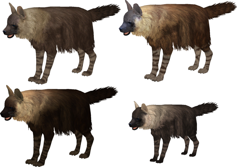 Brown_ Hyenas_ Multiple_ Angles