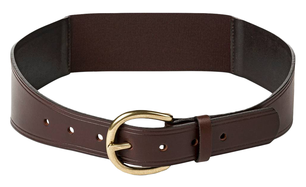 Brown Leather Beltwith Gold Buckle