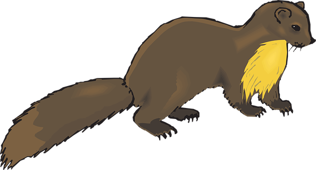 Brown Marten Illustration PNG with transparent background