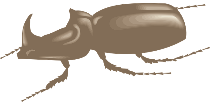 Brown Rhinoceros Beetle Illustration PNG with transparent background