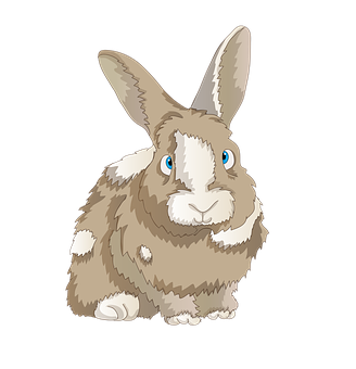 Brownand White Cartoon Rabbit PNG with transparent background