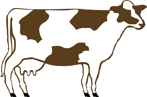 Brownand White Cow Illustration PNG with transparent background