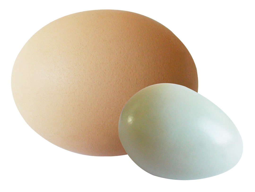 Brownand White Eggs Simple Background PNG with transparent background