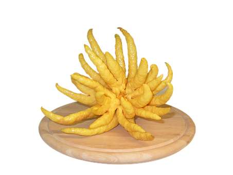 Buddhas Hand Citron Fruit