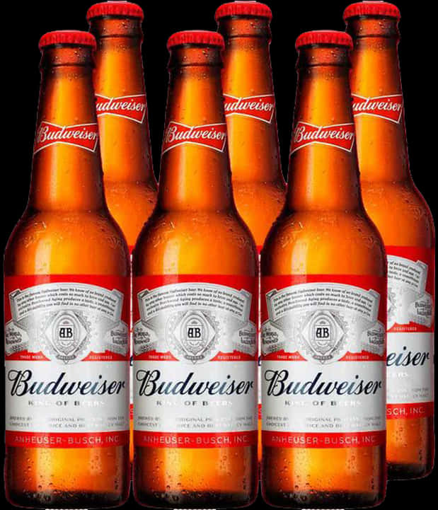 Budweiser Beer Bottles Array