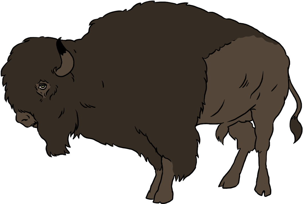Buffalo, Bright Images - Buffalo Animated Gif Png, Transparent Png PNG with transparent background