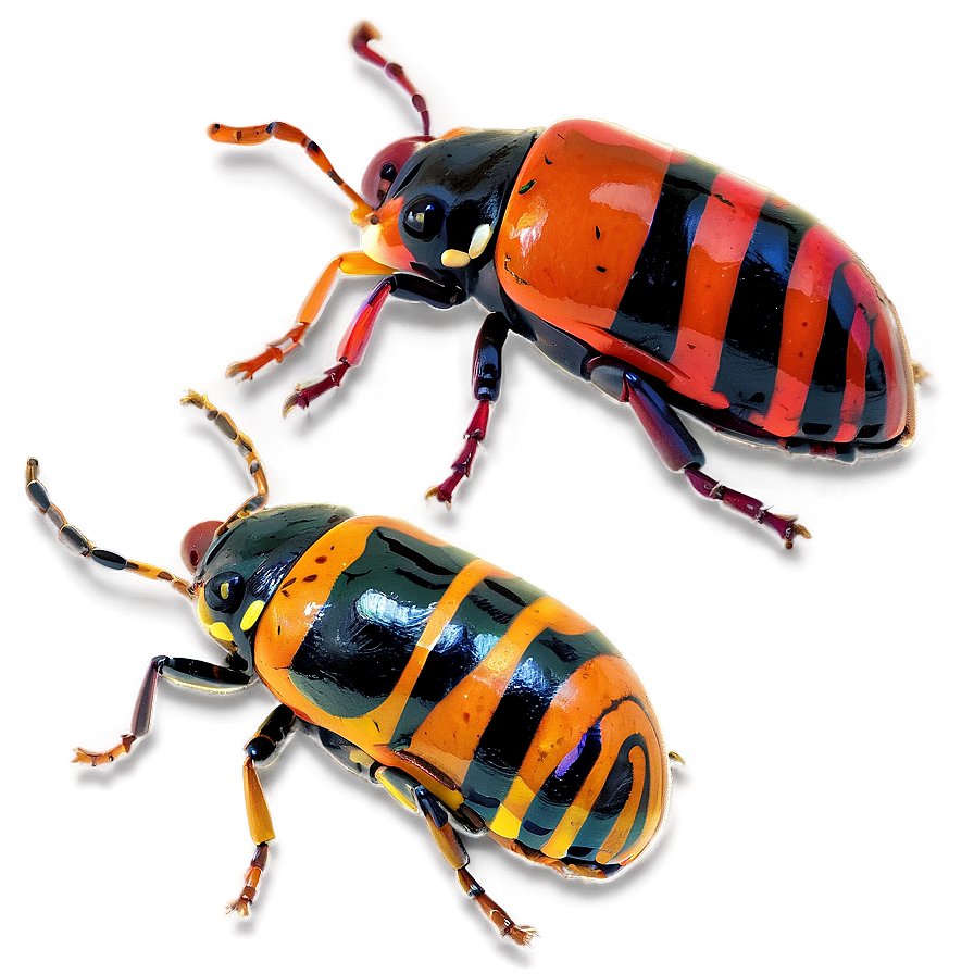 Bug Collection Png Ead