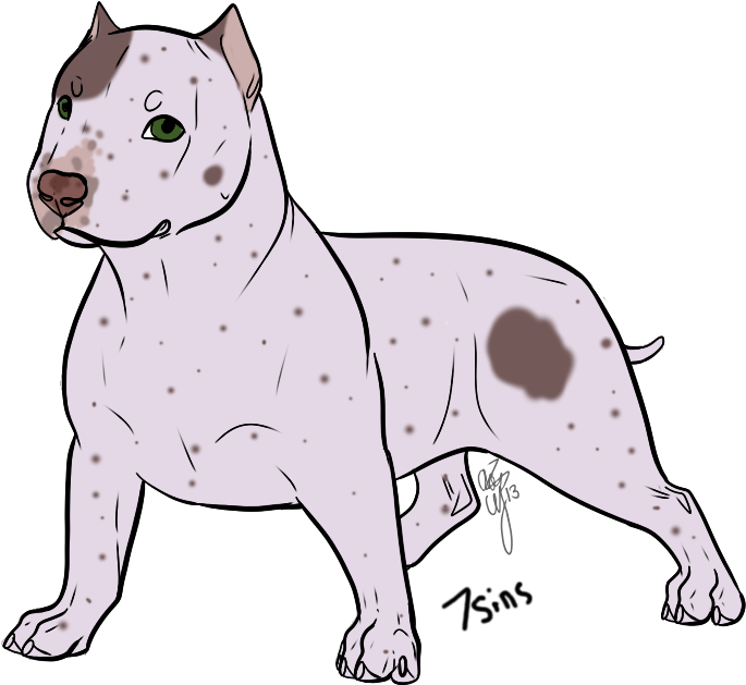 Bull And Terrier, HD Png Download PNG with transparent background