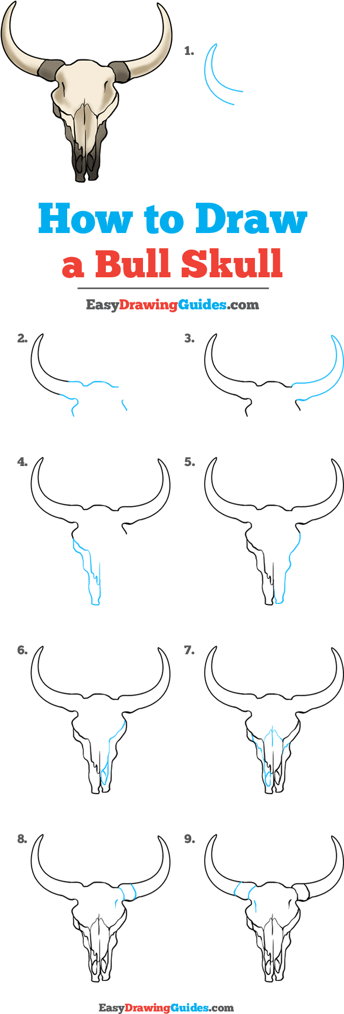 Bull Skull Drawing Tutorial