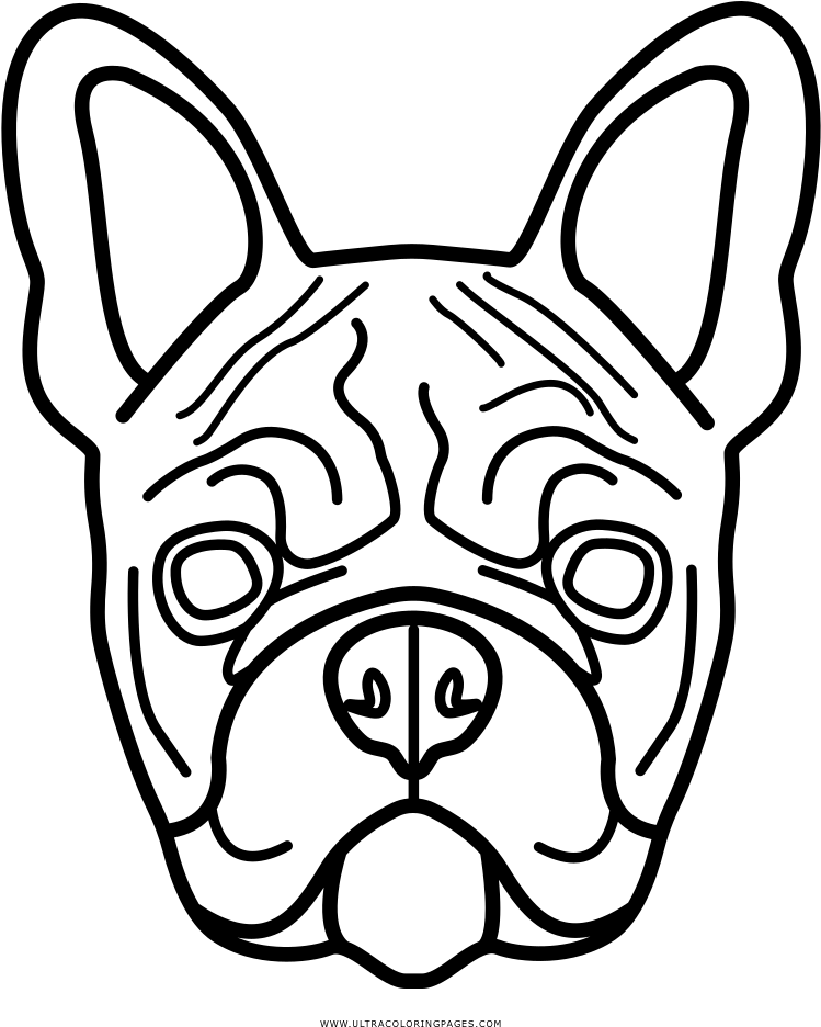 Bulldog Outline Art PNG with transparent background