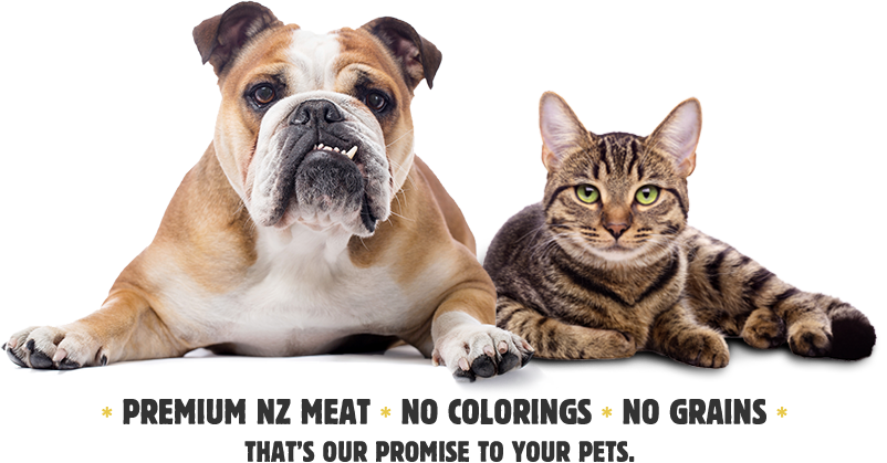 Bulldogand Tabby Cat Premium Pet Food Ad PNG with transparent background