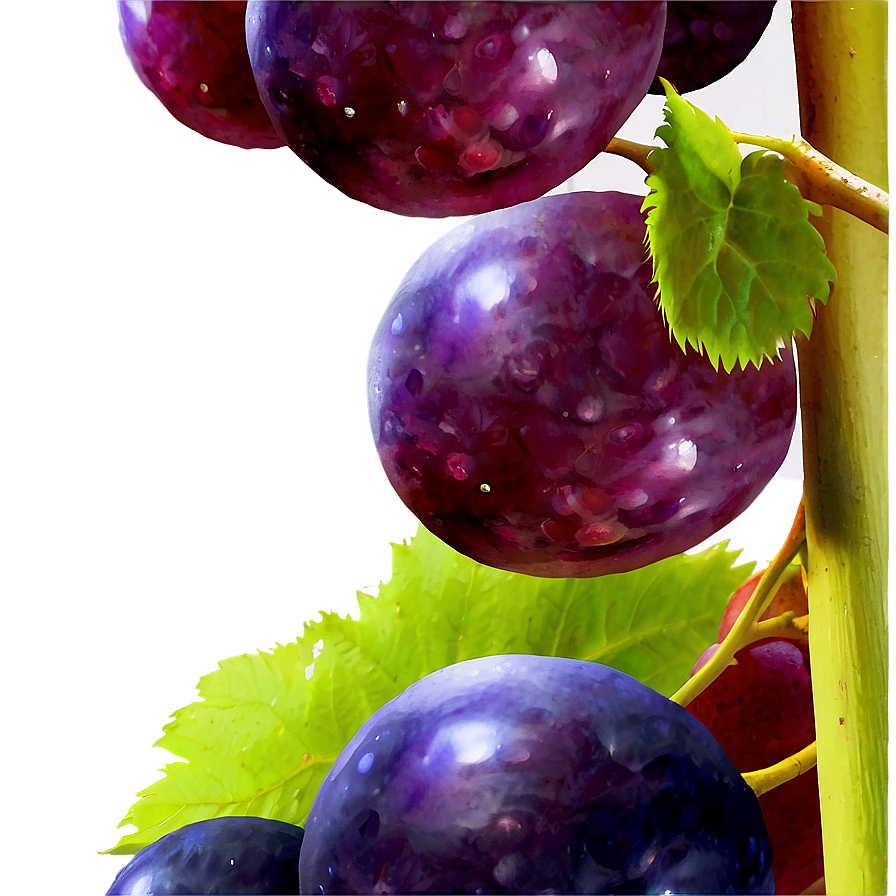 Bunch Of Grapes Png Rct