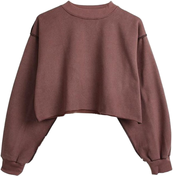 Burgundy Cropped Sweatshirt