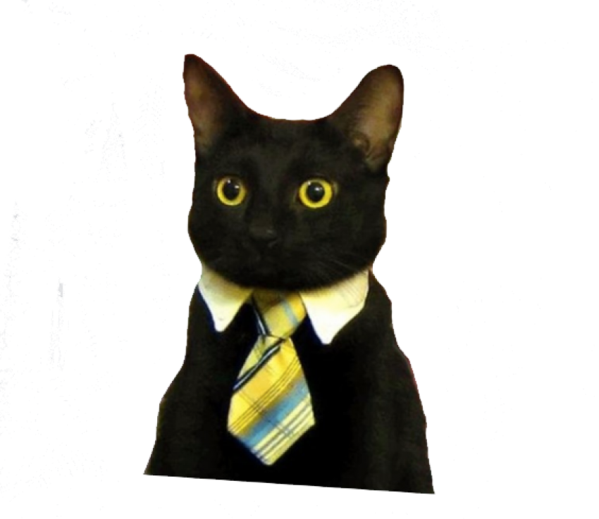 Business Cat Meme, HD Png Download PNG with transparent background