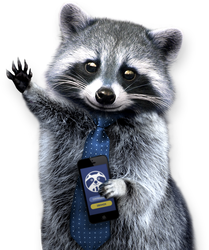 Raccoon Png - Png Raccoon, Transparent Png PNG with transparent background