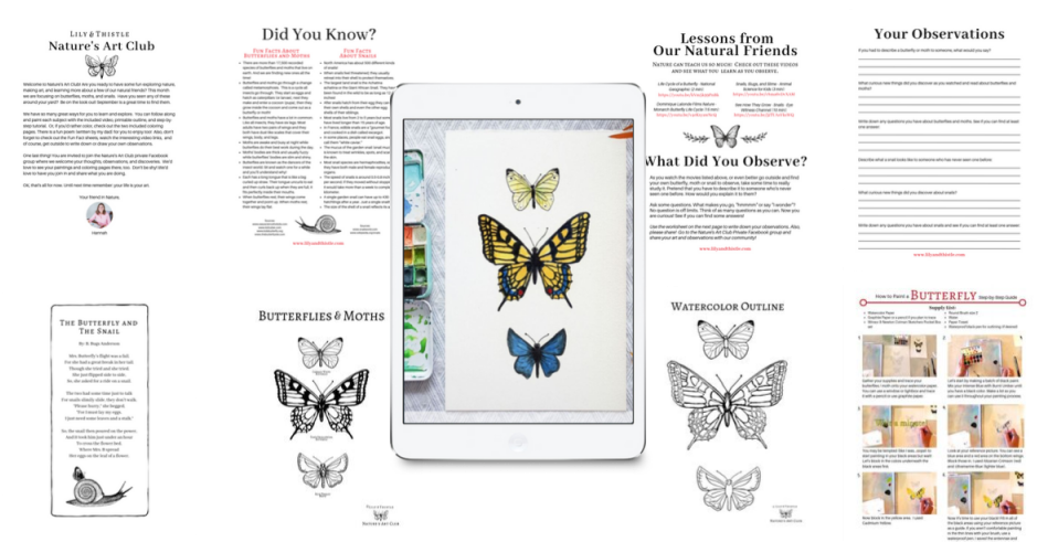 Butterfly Education Material Collage