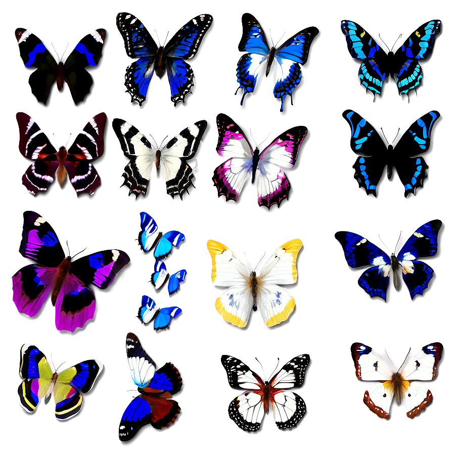 Butterfly Flock Swarm Png Ggh