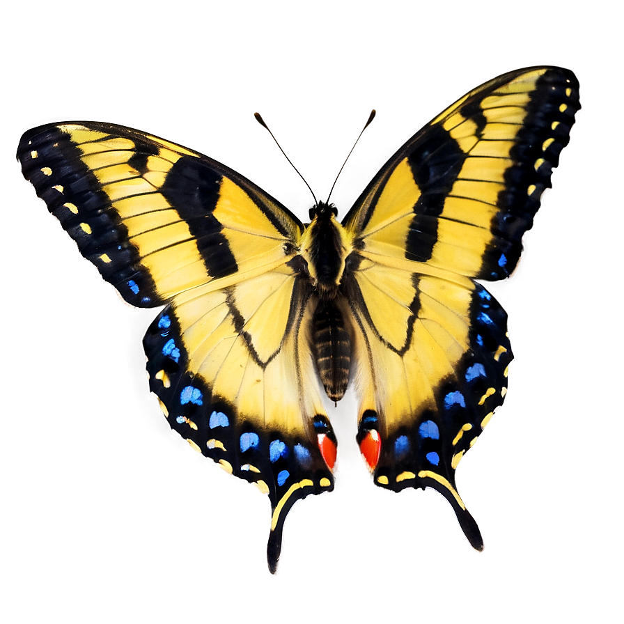 Butterfly In The Wild Png Mxl58