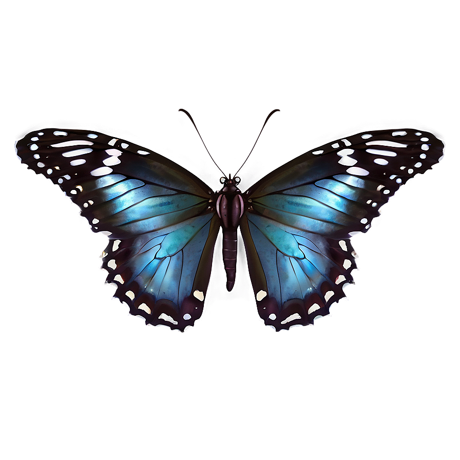 Butterfly Landing PNG eyx84 PNG with transparent background