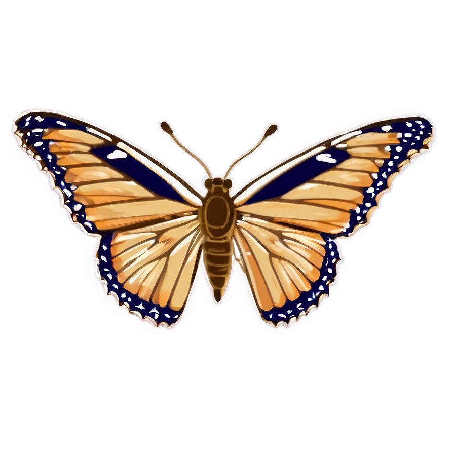 Butterfly Outline Clipart Png 05252024