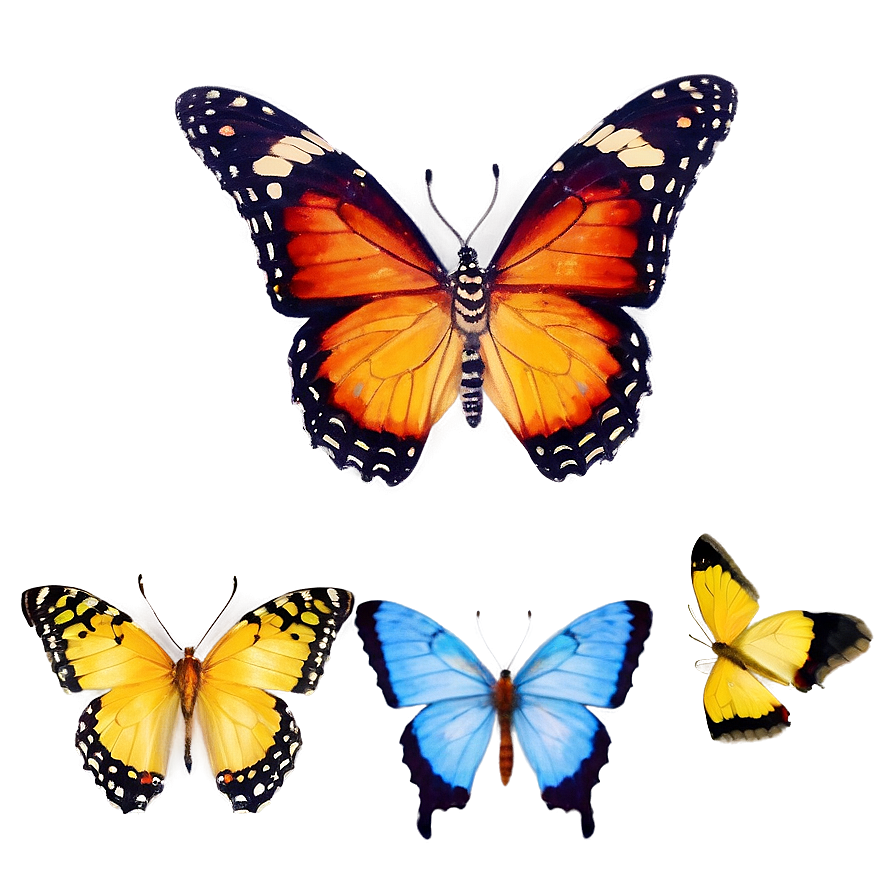 Butterfly Purity Png Wlg49