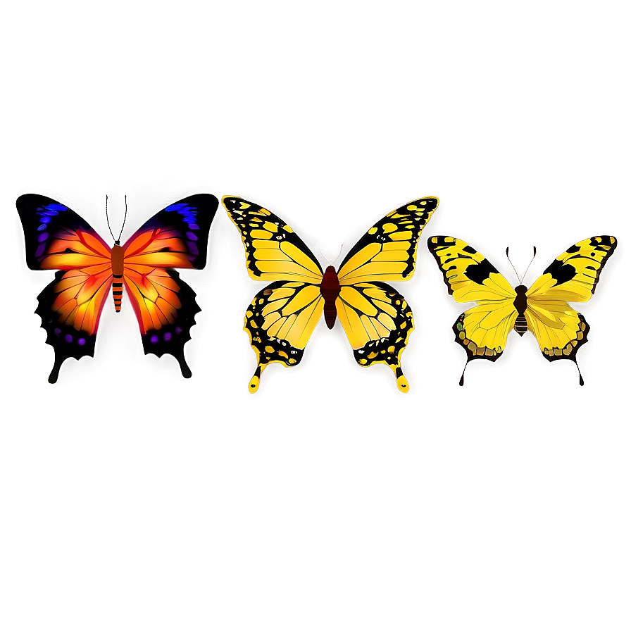 Butterfly Shapes Png 63