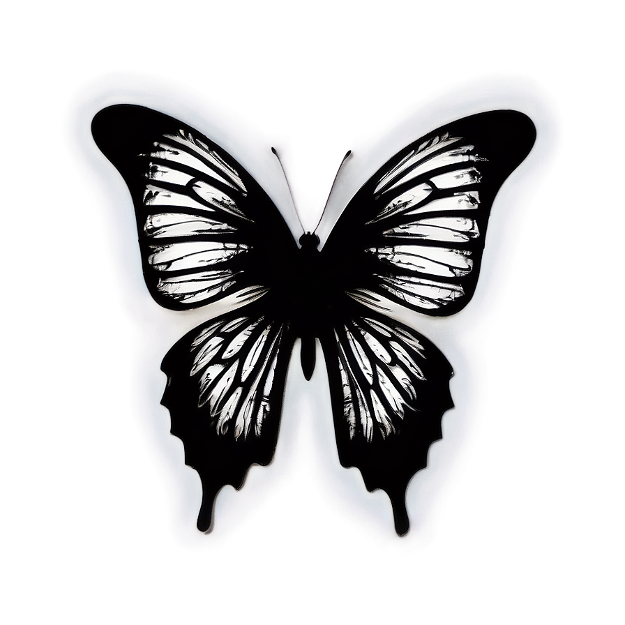 Butterfly Silhouette Outline Png 05252024